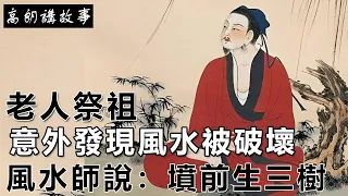 民間故事：老人祭祖，意外發現風水被破壞，風水師說：墳前生三樹｜高朗講故事