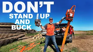 DON'T STAND UP AND BUCK! THE BEST CHAINSAW BAR SIZE FOR YOU