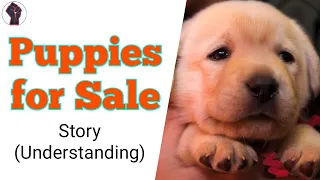 Puppies for sale - Understanding Story