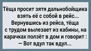 Теща с Зятем Дальнобойщиком Пошла в Рейс! Сборник Свежих Анекдотов! Юмор!