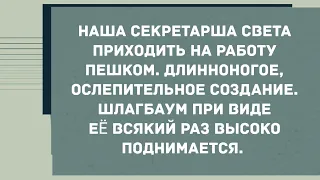 Длинноногая секретарша Света. Смех! Юмор! Позитив!