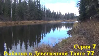 Камень среди реки Серия 7 Рыбалка в Девственной Тайге 77 Тайга Охота Поход Выживание Лес Сибирь Медв