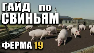 PIG GUIDE Farming Simulator 19 | BREEDING PIGS In Farm 19