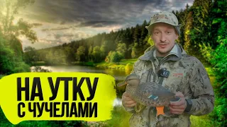 ОХОТА на УТКУ с чучелами 🦆🦆🦆 Как расставлять чучела уток