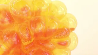 Bubble Maracas | Houdini + RedShift