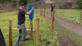 Creating a dead hedge at The Bishop's Palace & Gardens, Wells