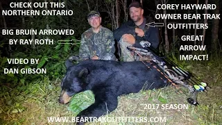 Huge Bear Arrowed from Ground Blind in Ontario Canada at Bear Trak Outfitters