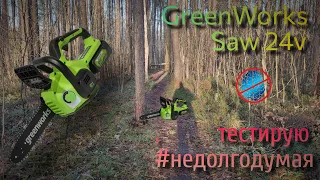 GreenWorks ChainSaw 24V, купил #недолгодумая аккумуляторную пилу. В пролёте или сойдёт? G24CS25K2