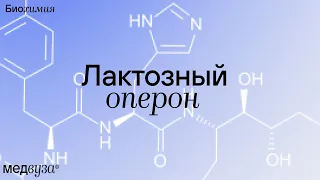 Лактозный оперон | Биохимия