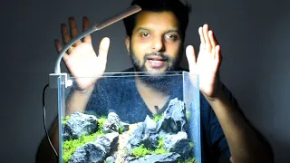 How to setup nano planted aquarium - Update on Nano Diaroma Tank [Malayalam]