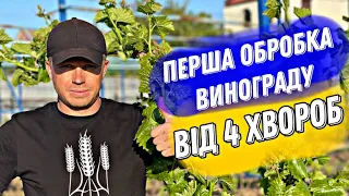 Перша обробка виноградника від: антракноза, фомопсісу, мілдью, оїдіума.