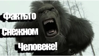 Снежный Человек - Интересные Факты!