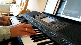 Daniel, cover played on the Yamaha PSR-SX700