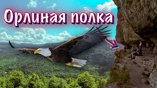 ОРЛИНАЯ ПОЛКА В МЕЗМАЕ