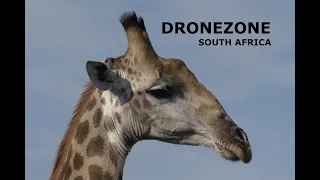 Drone Friendly Bushveld Game Farm