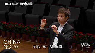 Xinjiang Folk Song “Dance of Youth”-YANG Li & The Beijing Philharmonic Choir