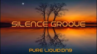 Silence Groove Tribute Mix (Pure:Liquid) No:218