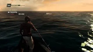 Killing a killer whale  AC4  PS4