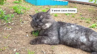 Что у нас в субботу?