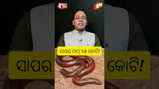 OTV Knowledge Box | Price of this snake ins Rs 25 crores!