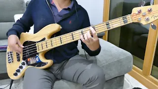 ABBA - Does Your Mother Know Mamma Mia Bass Cover