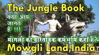 |The Jungle Book|मोगली लैण्ड|जहां असली मोगली रहता था|Original Mowgli Land in India|