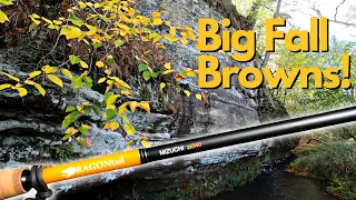 Driftless Trout Fishing For Big Fall Browns! (Tenkara Fly Fishing) Featuring The DRAGONtail Mizuchi