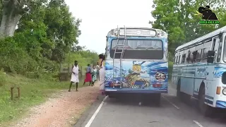 A severe elephant attack on a bus  People fall down in fear     11