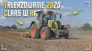 🌱Talerzowanie w Grudniu?😱Uprawa z Claas'ą🔥Claas Arion 510😍Agro Kubuś