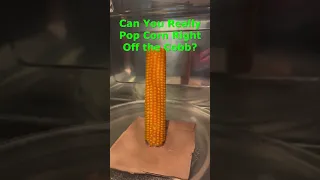 Popping Corn on the Cobb is So Cool!