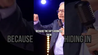 Lewis Black Discusses Cats (Tragically, I Need You)