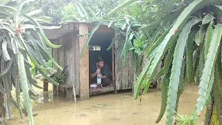 Solo survival || The hut almost sank due to heavy rain.