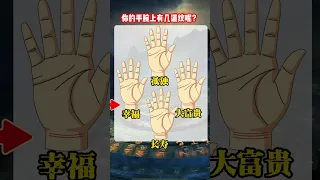 #命理 #palmistry #手相 #八字 #國學智慧