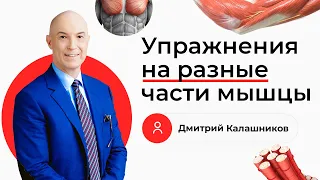 Упражнения на разные части мышцы | Дмитрий Калашников