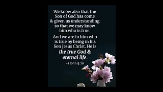 God is the True God & Eternal Life. | 1 John 5 : 20 | Bible Verse #shorts #jesus #inspiration