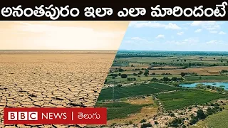 Ananthapuram: కరవుసీమను పచ్చగా మార్చి, ఇన్ని ఉద్యాన పంటలు ఎలా పండిస్తున్నారంటే... | BBC Telugu