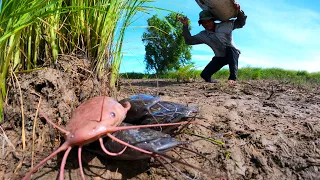 wow awesome technique! catch underground a lots of redfish by best hand a fisherman