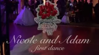 Nicole & Adam 1st Dance