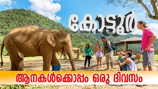 Kottoor elephant rehabilitation center kappukkad Trivandrum #kottoor #elephant #park #trveldiary