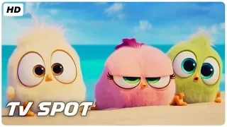 The Angry Birds Movie 2 TV Spot (2019) HD | Mixfinity International