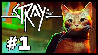 Stray - Playthrough Part 1 - My Cat Adventure Begins (PC, PS4, PS5)