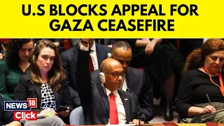 Gaza Ceasefire | Israel Vs Hamas | US Vetoes UN Resolution Calling For Gaza Ceasefire | N18V