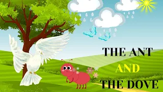 The Ant And The Dove Short Story | English Stories