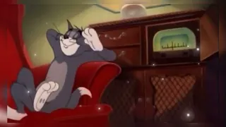 💣Dolya Vorovskaya / Доля Воровская🔥 (Tom & Jerry) 2024