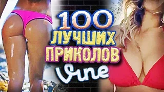 100 Best Vine! (Part - 169) GrotesqTrailerzNew