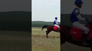 12.06.23. Хоринск -конные скачки 🏇🏇🏇