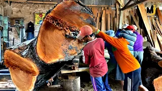 The Most Dangerous Sawmill Challenge: Sawing the Largest Mahogany Wood