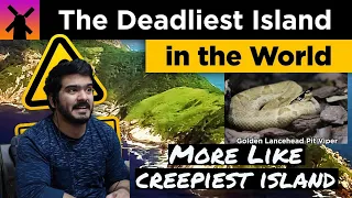 The Deadliest Island in the World: Snake Island Explained  (RealLifeLore) CG Reaction