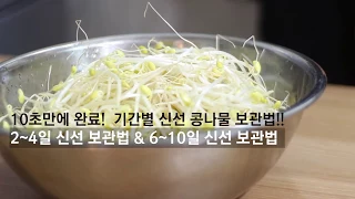 [하우투/HOW TO] 10초만에 완료! 기간별 신선 콩나물 보관법