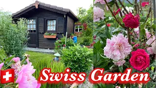 Walking along in Swiss Garden ! Summer in Switzerland 2021 | Swiss View ☘️